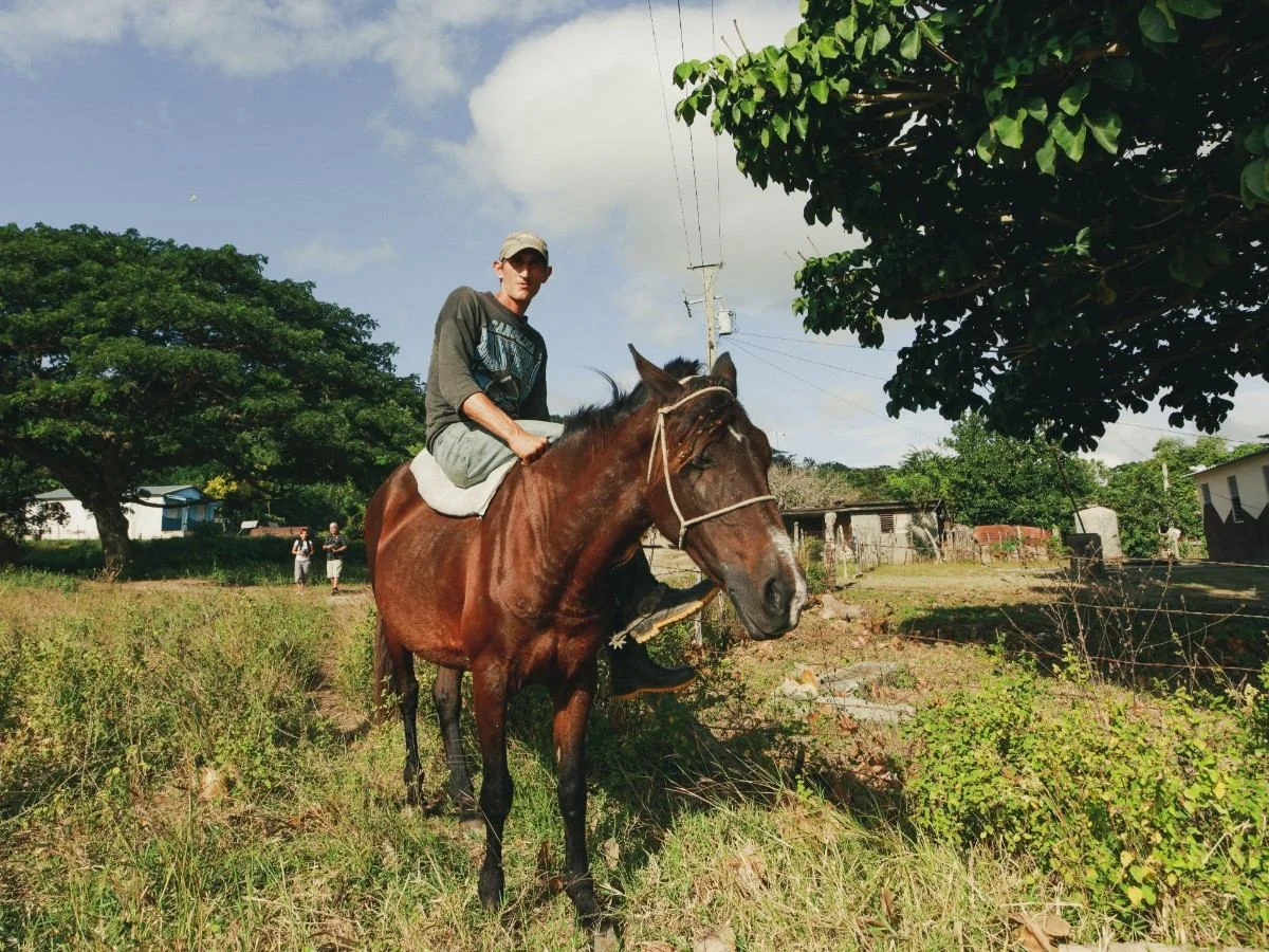 Horseback Riding in Rincón
