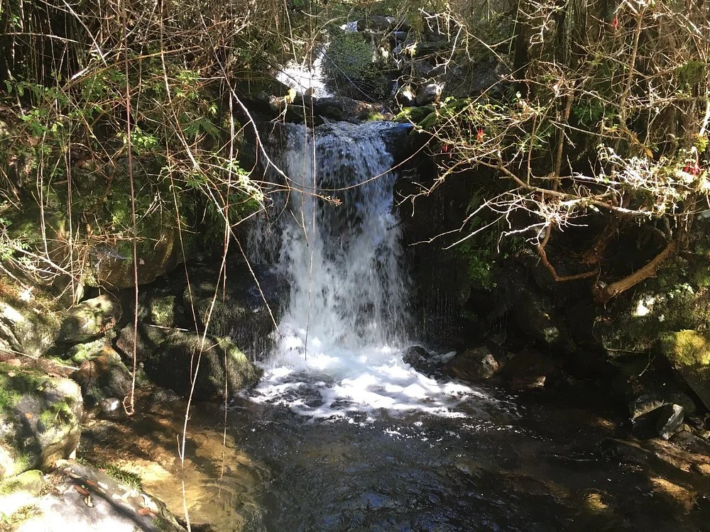 Visit El Salto de la Encantada