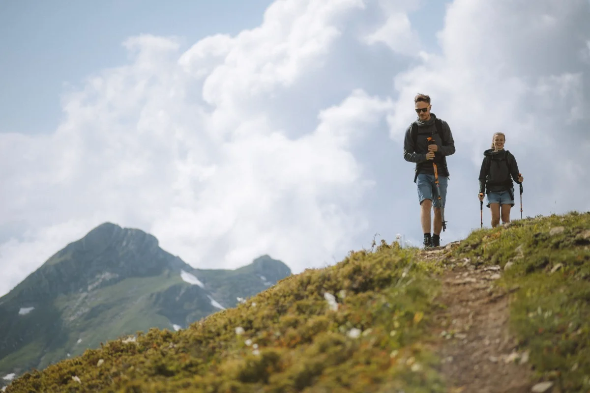 Go Hiking & Birdwatching